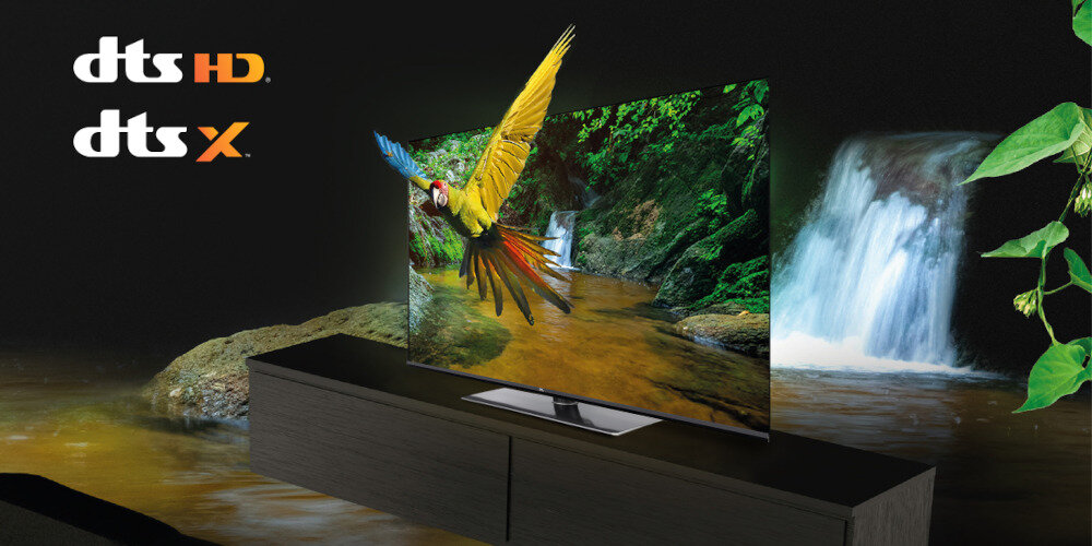 Telewizor JVC LT-VAO9200  - dts