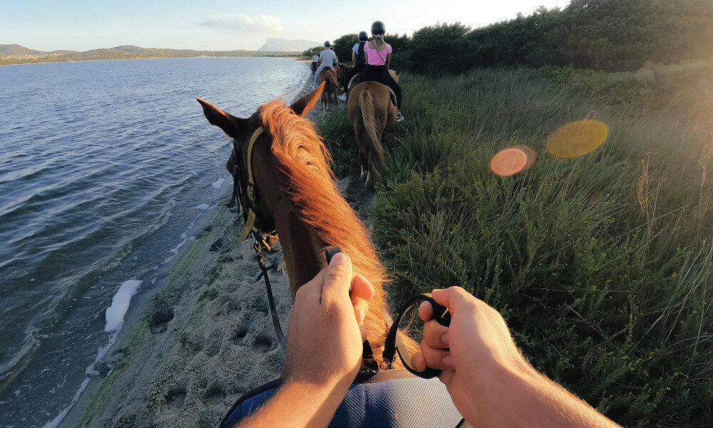 Mocowanie na głowę GOPRO Head Strap 2.0 - Strappy przeznaczenie zastosowanie cechy działanie