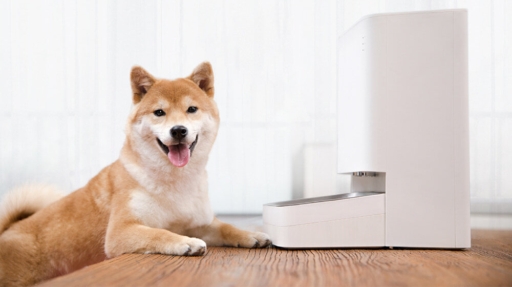 Dozownik karmy XIAOMI Smart Pet Food Feeder XWPF01-MG aplikacja sterowanie karma dozowanie porcje harmonogram ilość