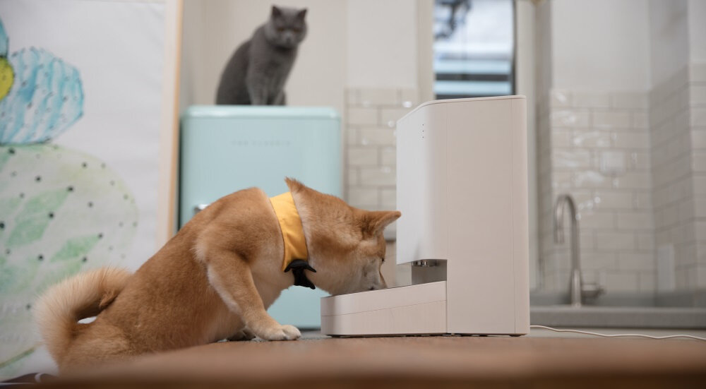 Dozownik karmy XIAOMI Smart Pet Food Feeder XWPF01-MG Zabezpieczenia przed awariami harmonogram karmienie zasilacz