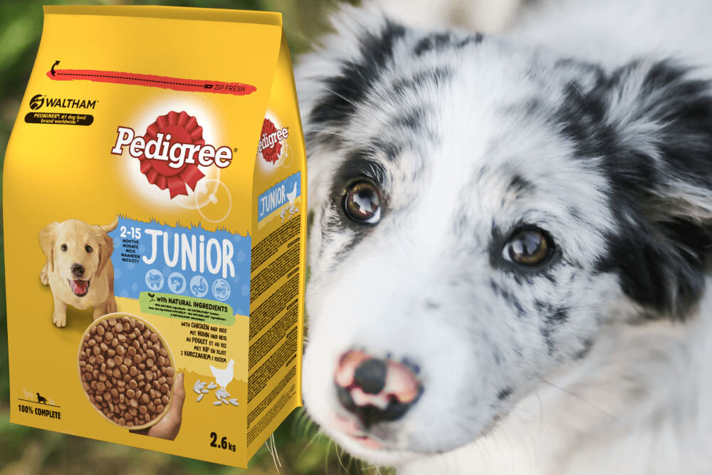 Karma dla psa PEDIGREE Vital Protection Junior z Kurczakiem i ryżem 2,6 kg naturalne składniki