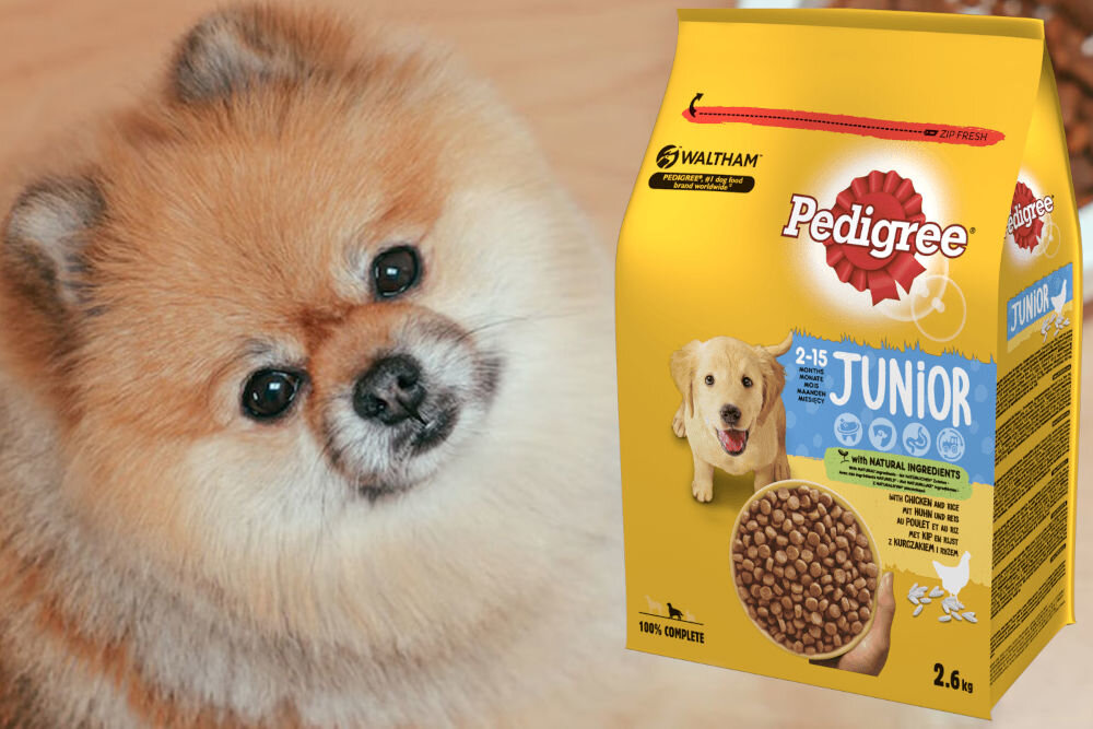 Karma dla psa PEDIGREE Vital Protection Junior z Kurczakiem i ryżem 2,6 kg dawkowanie analiza sklad