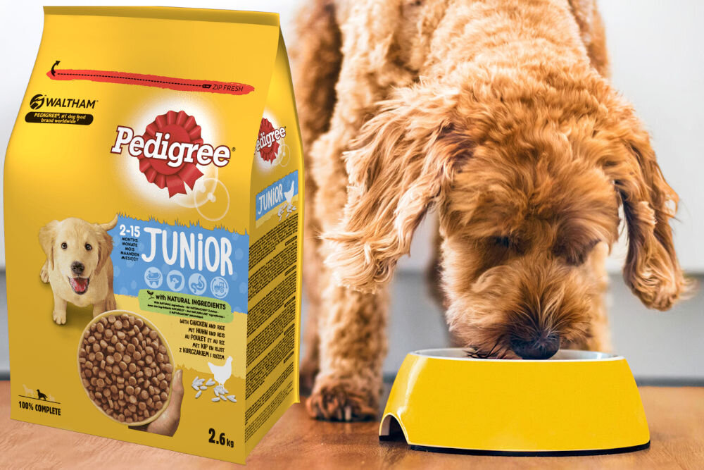 Karma dla psa PEDIGREE Vital Protection Junior z Kurczakiem i ryżem 2,6 kg witaminy pierwiastki aminokwasy
