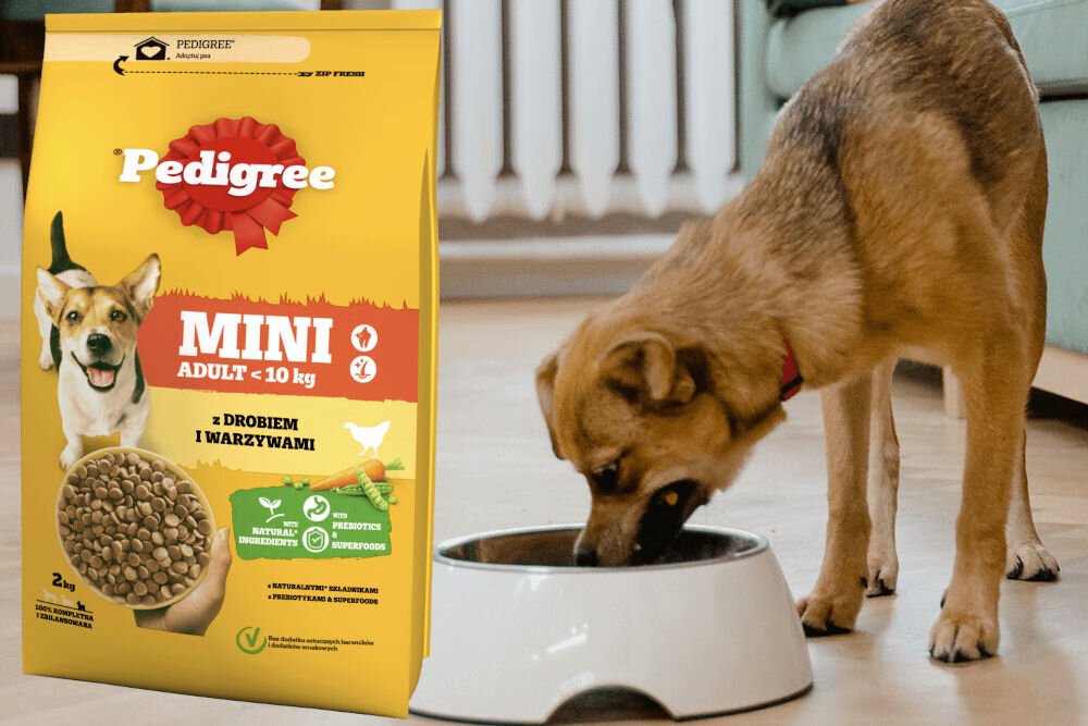 Karma dla psa PEDIGREE Adult Mini z drobiem i warzywami 2 kg dawkowanie analiza sklad