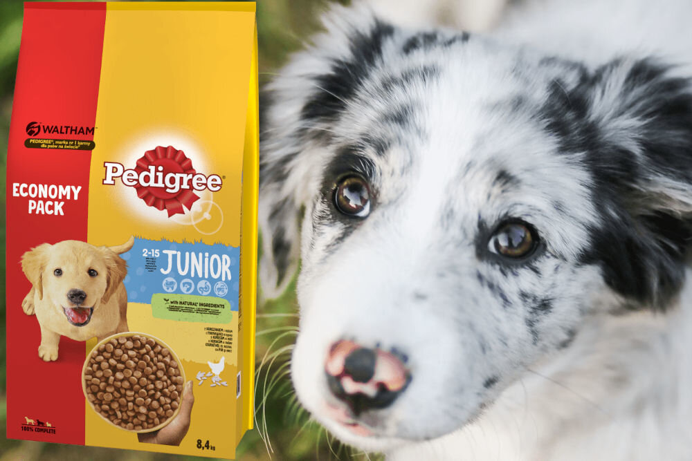Karma dla psa PEDIGREE Vital Protection Kurczak z ryżem 8,4 kg naturalne składniki