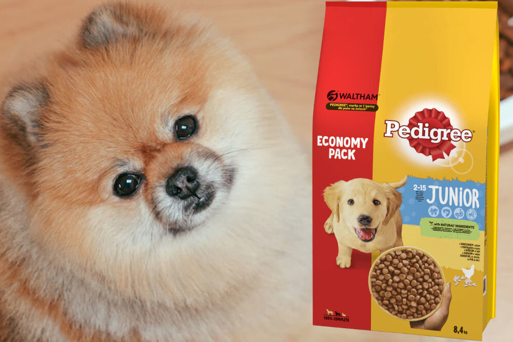 Karma dla psa PEDIGREE Vital Protection Kurczak z ryżem 8,4 kg dawkowanie analiza sklad