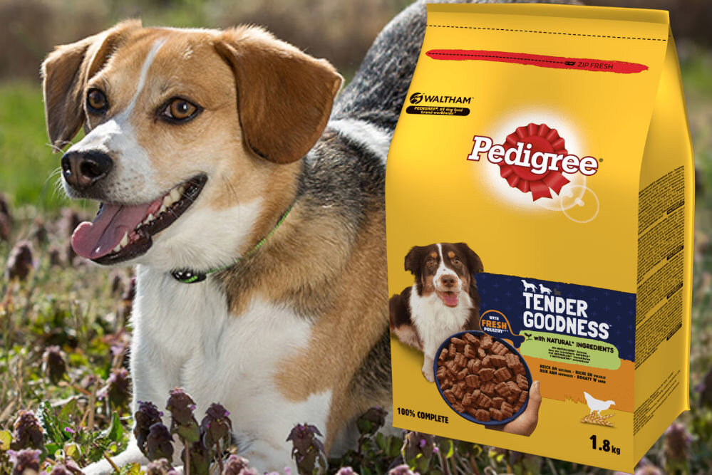 Karma dla psa PEDIGREE Tender Goodness Drób 1,8 kg witaminy pierwiastki aminokwasy