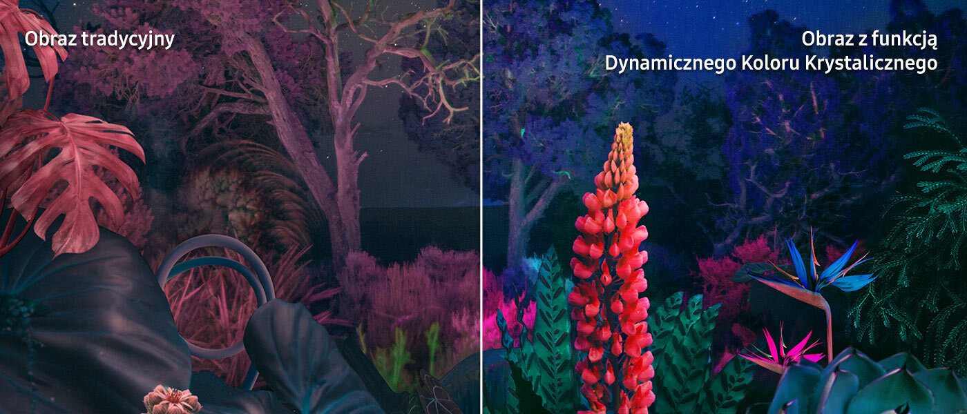 Przedstawienie różnicy, którą wprowadza Dynamiczny Kolor Krystaliczny Przedstawienie różnicy, którą wprowadza Dynamiczny Kolor Krystaliczny