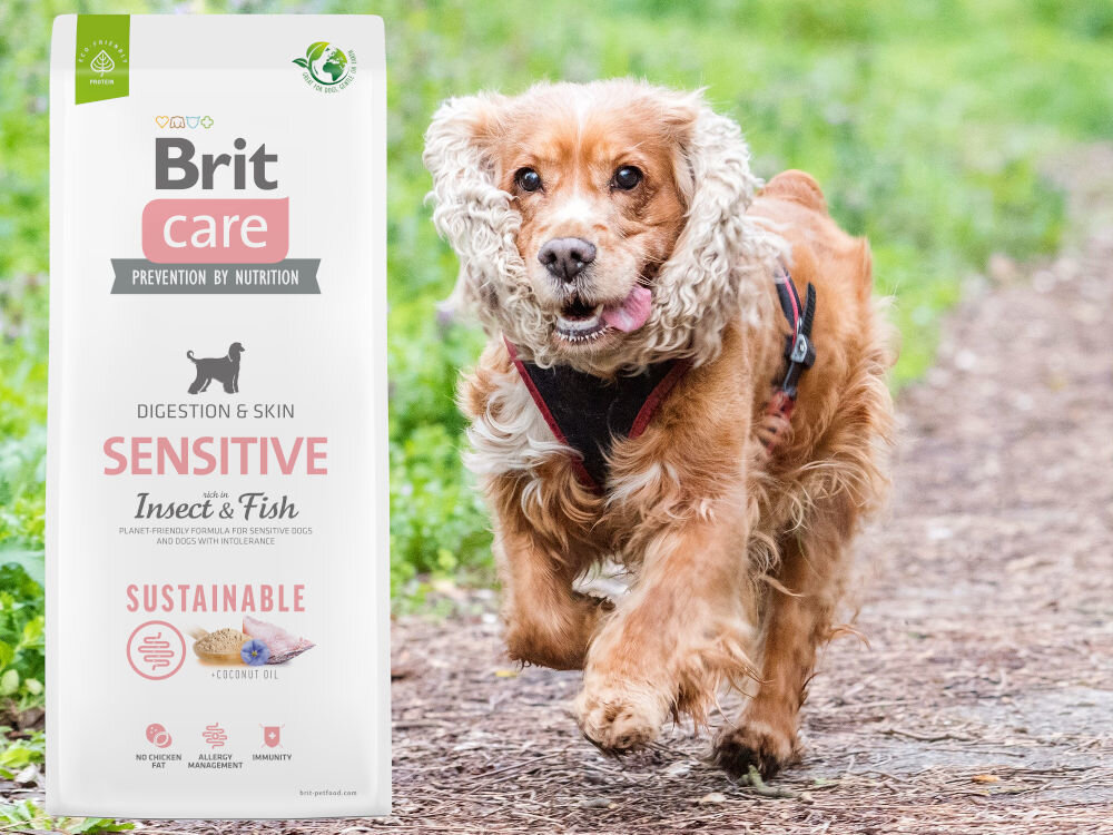 Karma dla psa BRIT CARE Sustainable Sensitive Owady i ryba 3 kg dodatki analiza