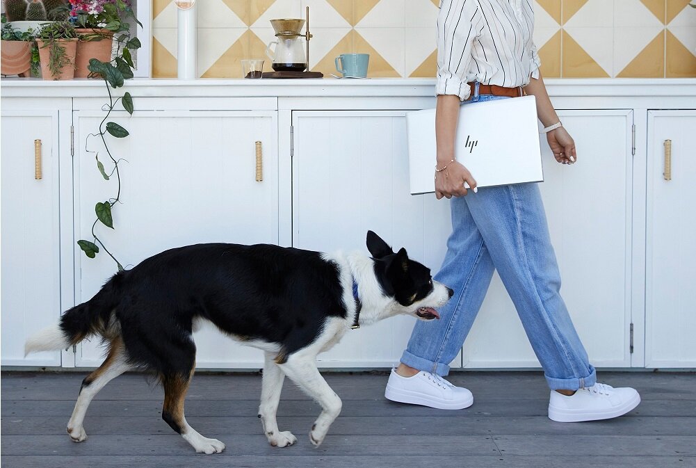 Laptop HP uniwersalny rozmiar procesor rdzenie taktowanie wydajność rozrywka praca kąty widzenia rozdzielczość karta graficzna jakość dysk RAM ekran częstotliwość złącza