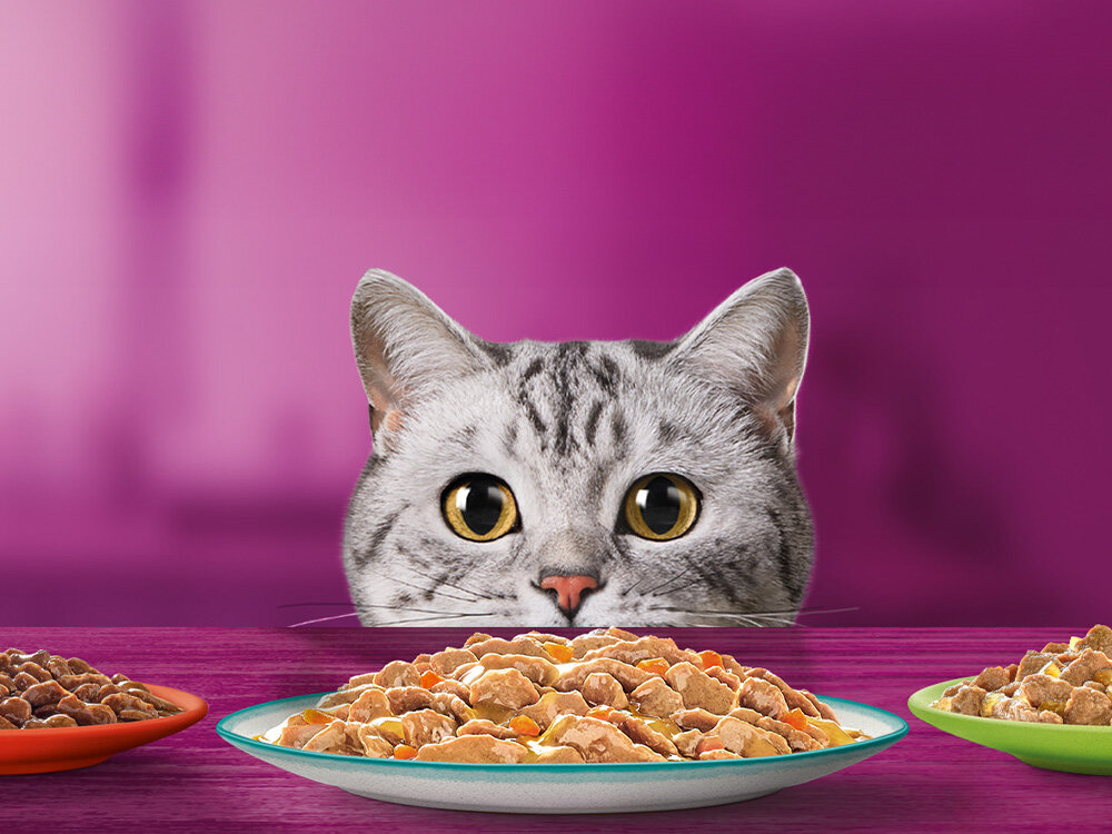 Karma dla kota WHISKAS Pure Delight Wołowina z kurczakiem (4 x 85 g)  Pyszne jedzenie i jeszcze więcej mruczenia