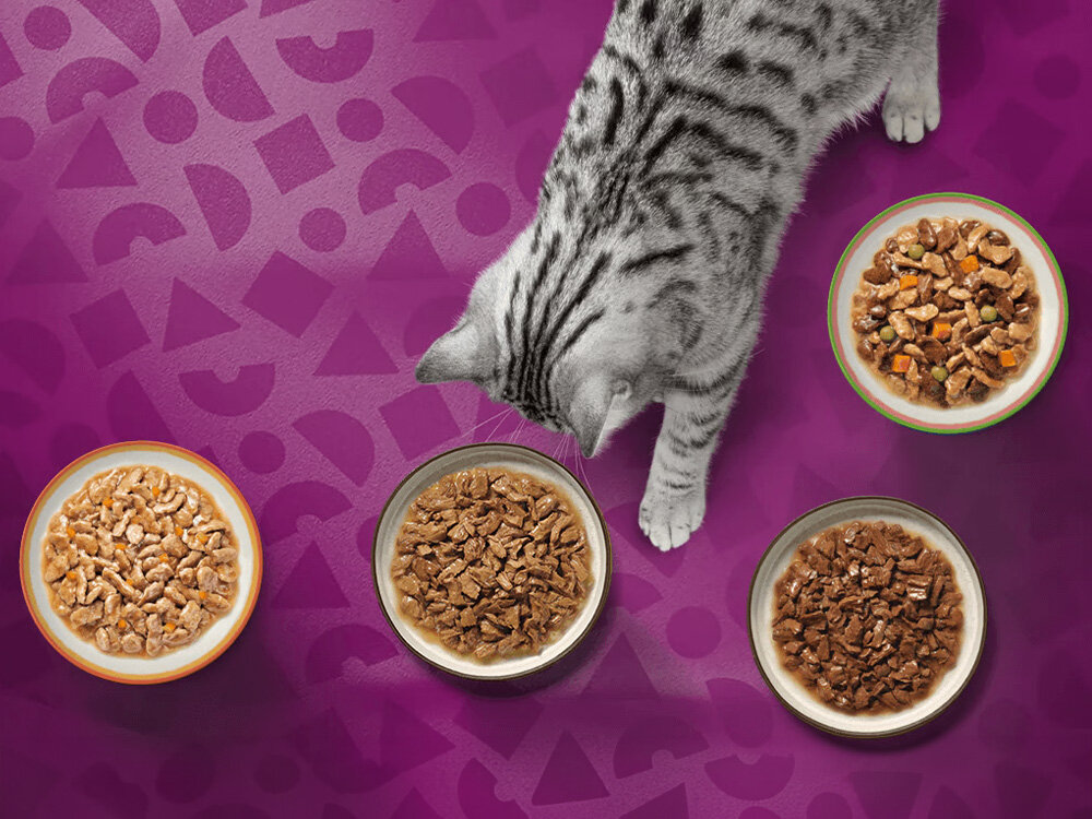 Karma dla kota WHISKAS Pure Delight Wołowina z kurczakiem (4 x 85 g)  Skład