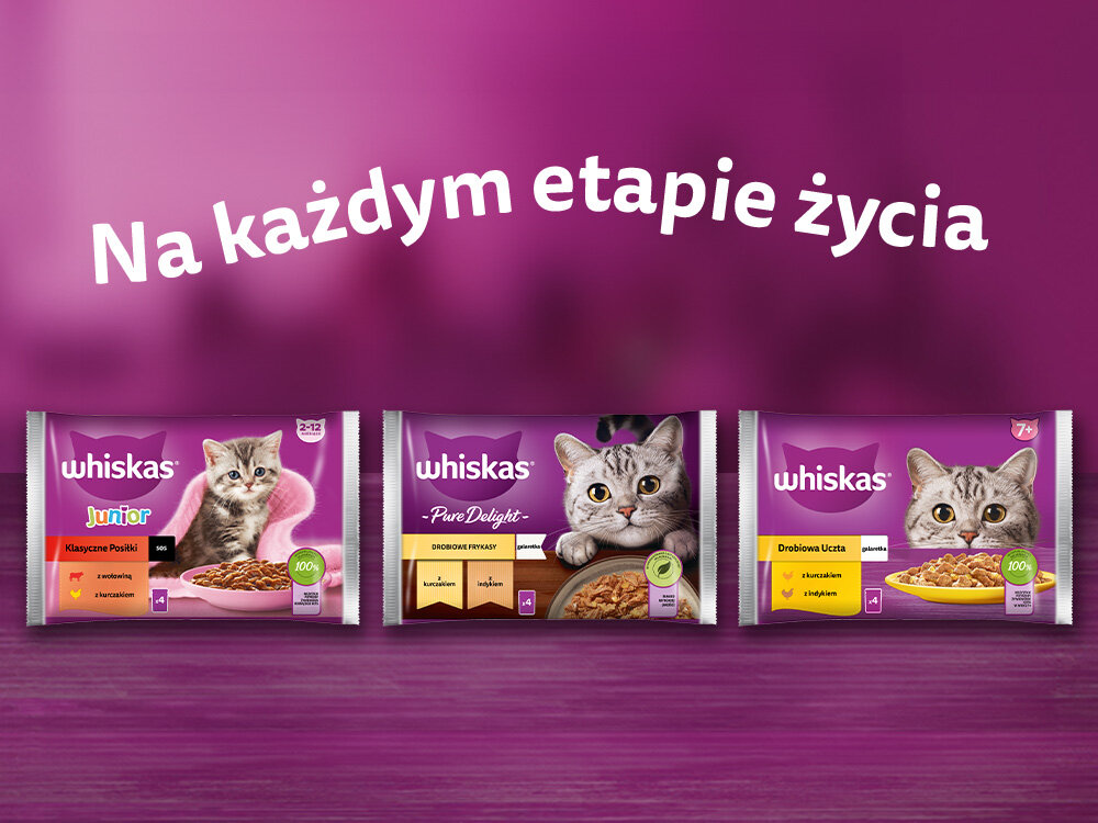 Karma dla kota WHISKAS Pure Delight Wołowina z kurczakiem (4 x 85 g)  Skład