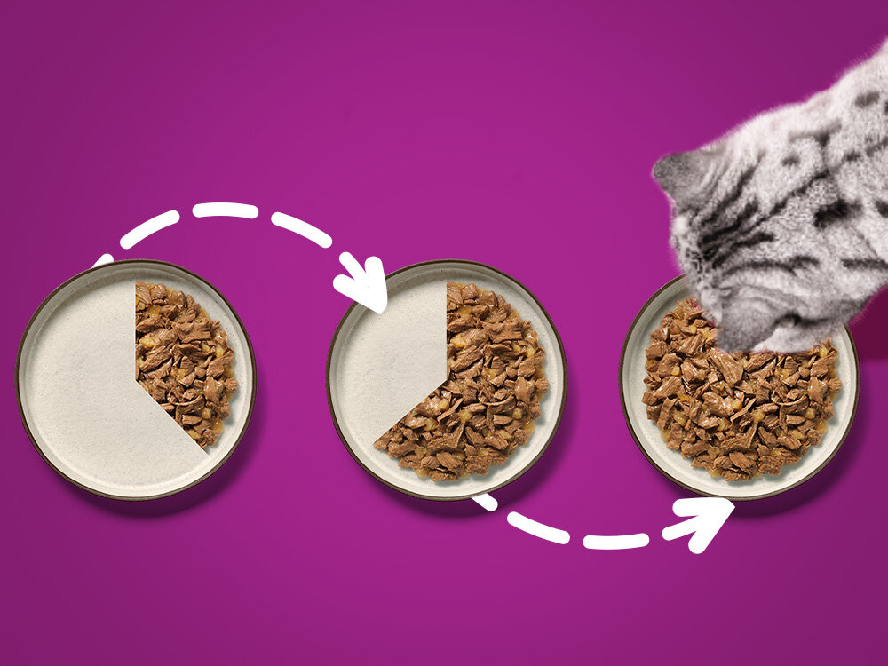 Karma dla kota WHISKAS Pure Delight Wołowina z kurczakiem (4 x 85 g)  Sposób karmienia