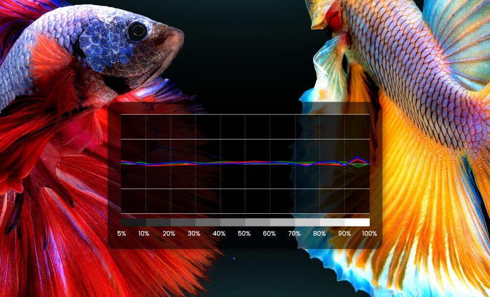 Projektor BENQ TK860 kolory barwy pokrycie palety regulacja