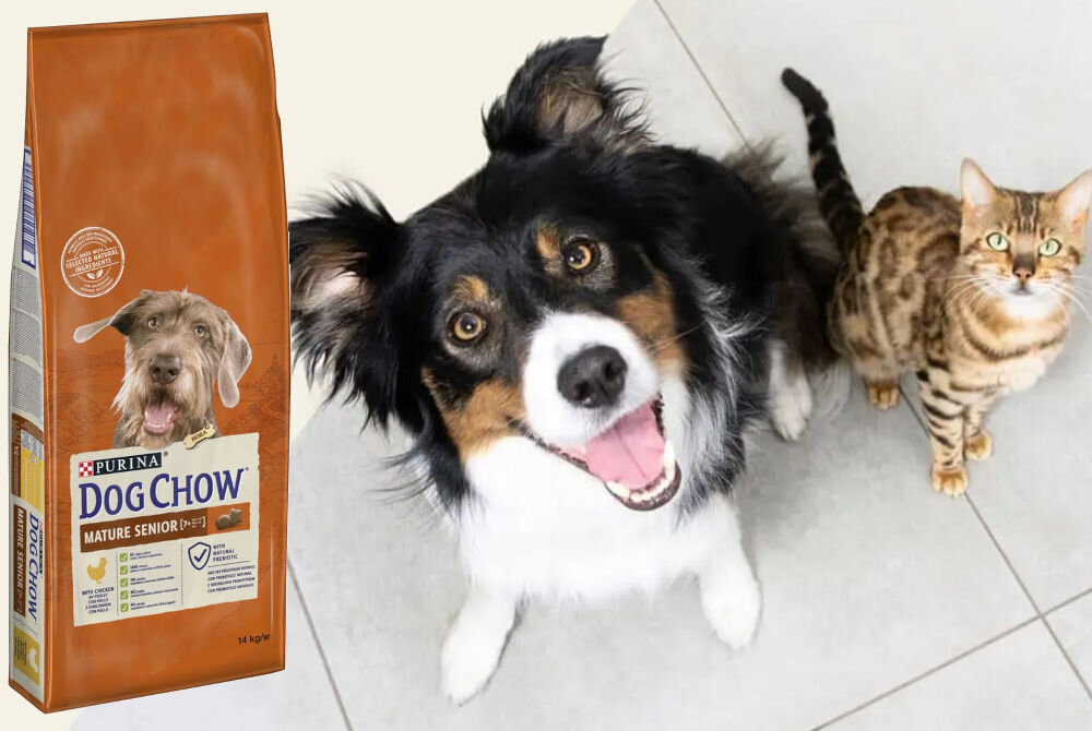Karma dla psa PURINA Dog Chow Mature Senior z Kurczakiem 14 kg witaminy zdrowie