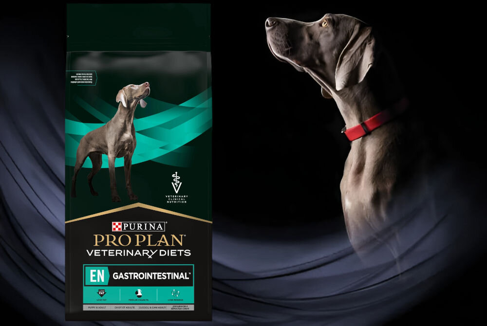 Karma dla psa PURINA Pro Plan Veterinary Diets Canine HA Hypoallergenic 1,3 kg witaminy zdrowie