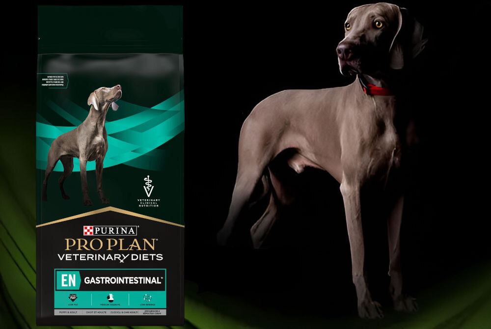 Karma dla psa PURINA Pro Plan Veterinary Diets Canine HA Hypoallergenic 1,3 kg sklad zywienie