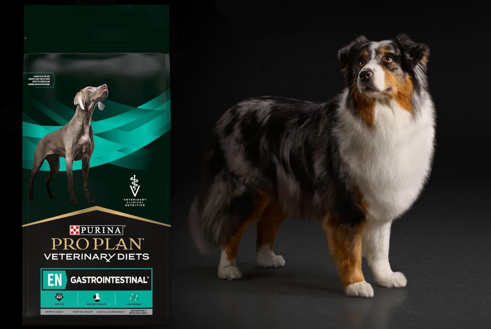 Karma dla psa PURINA Pro Plan Veterinary Diets Canine HA Hypoallergenic 1,3 kg dodatki analiza