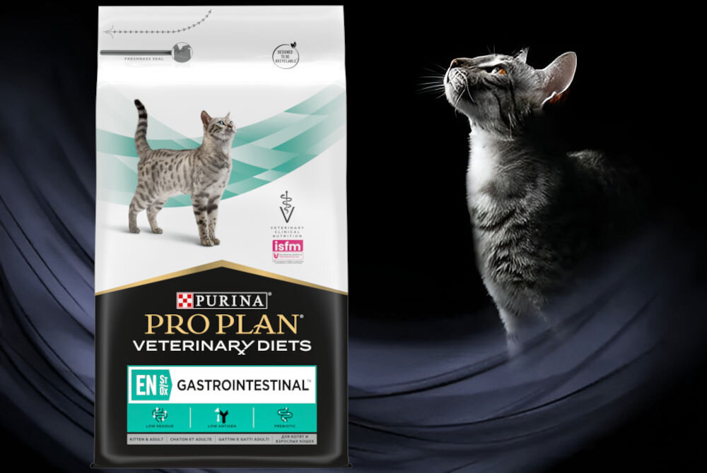 Karma dla kota PURINA PPVD Feline EN St/Ox Gastrointestinal Mięsny 400 g witaminy zdrowie