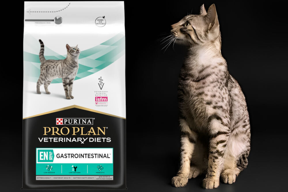 Karma dla kota PURINA PPVD Feline EN St/Ox Gastrointestinal Mięsny 400 g dodatki analiza