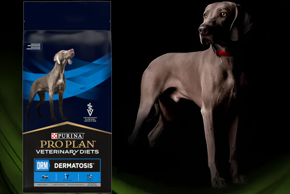 Karma dla psa PURINA Pro Plan Veterinary Diets Canine DRM Dermatosis 1,5 kg sklad zywienie