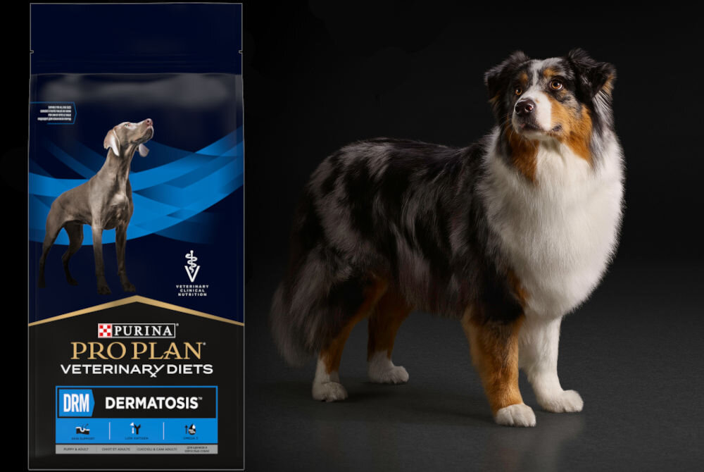 Karma dla psa PURINA Pro Plan Veterinary Diets Canine DRM Dermatosis 1,5 kg dodatki analiza