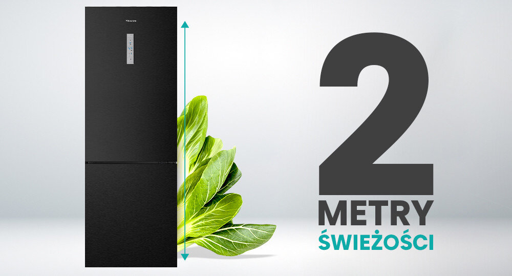LODÓWKA HISENSE RB645N4BFE 2 metry świeżość pojemność innowacja technologia