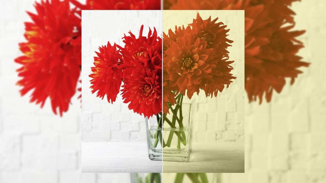 Projektor ACER H6815ATV - ACER ColorSafe II 