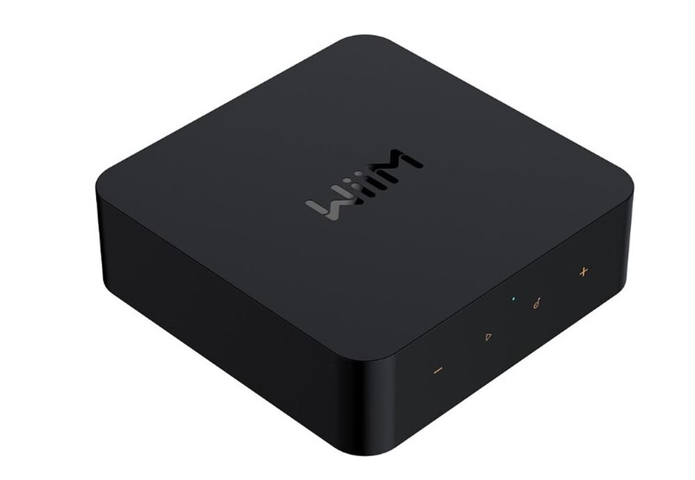 Streamer muzyczny WIIM Pro multiroom Alexa Siri Google Voice, odtwarzacz po skosie na białym tle