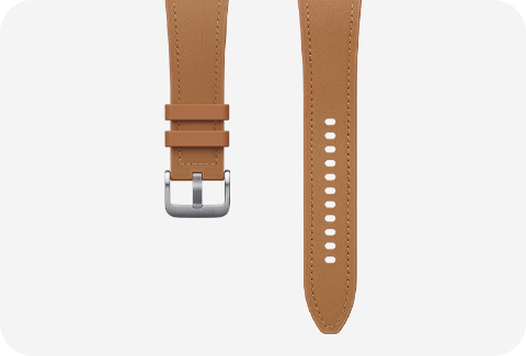 phpdjeuic 480x325 camel