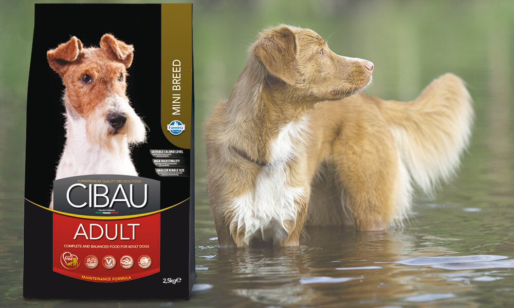 Karma dla psa FARMINA Cibau Asult Mini Kurczak 2,5 kg dawkowanie analiza sklad