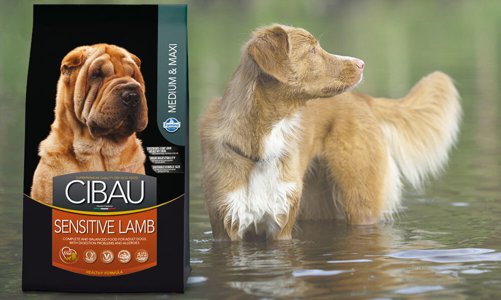 Karma dla psa FARMINA Cibau Asult Maxi Jagnięcina 2,5 kg dawkowanie analiza sklad