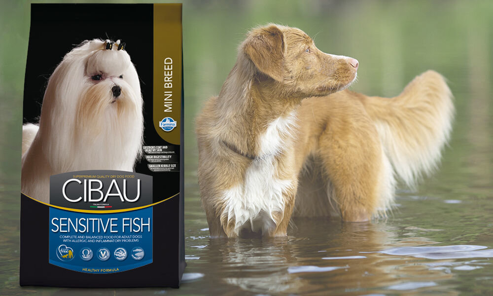 Karma dla psa FARMINA Cibau Sensitive Fish Mini 2,5 kg dawkowanie analiza sklad