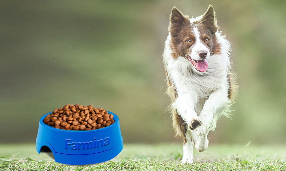 Karma dla psa FARMINA Cibau Asult Mini Kurczak 2,5 kg naturalne składniki wielkość krokietów