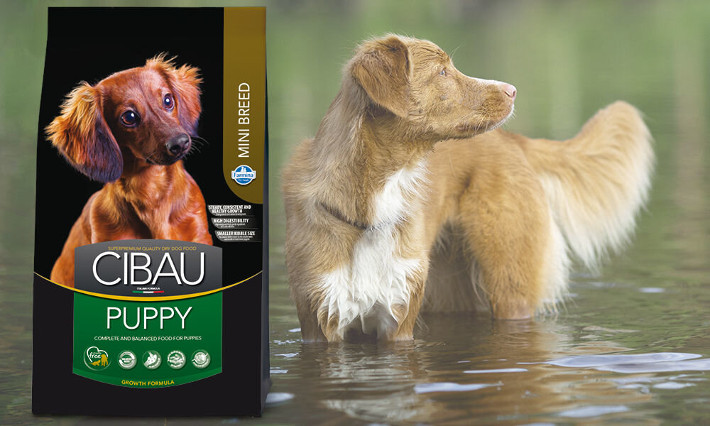 Karma dla psa FARMINA Cibau Asult Mini Kurczak 2,5 kg dawkowanie analiza sklad