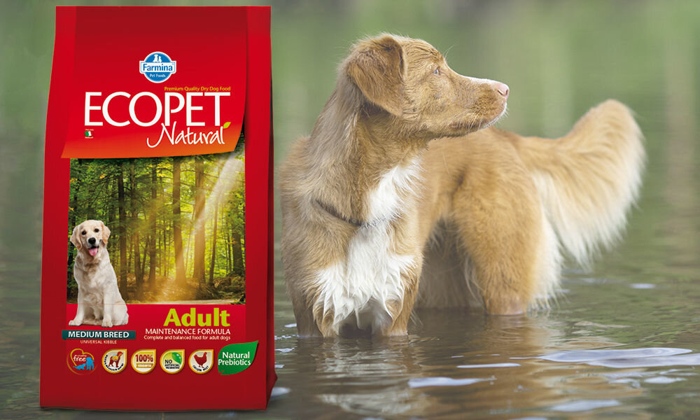 Karma dla psa FARMINA Ecopet Natural Adult Kurczak 2,5 kg dawkowanie analiza sklad