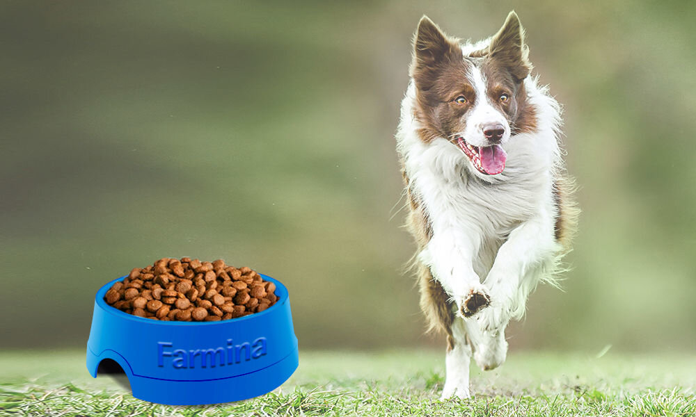 Karma dla psa FARMINA Ecopet Natural Adult Ryba 2,5 kg naturalne składniki wielkość krokietów