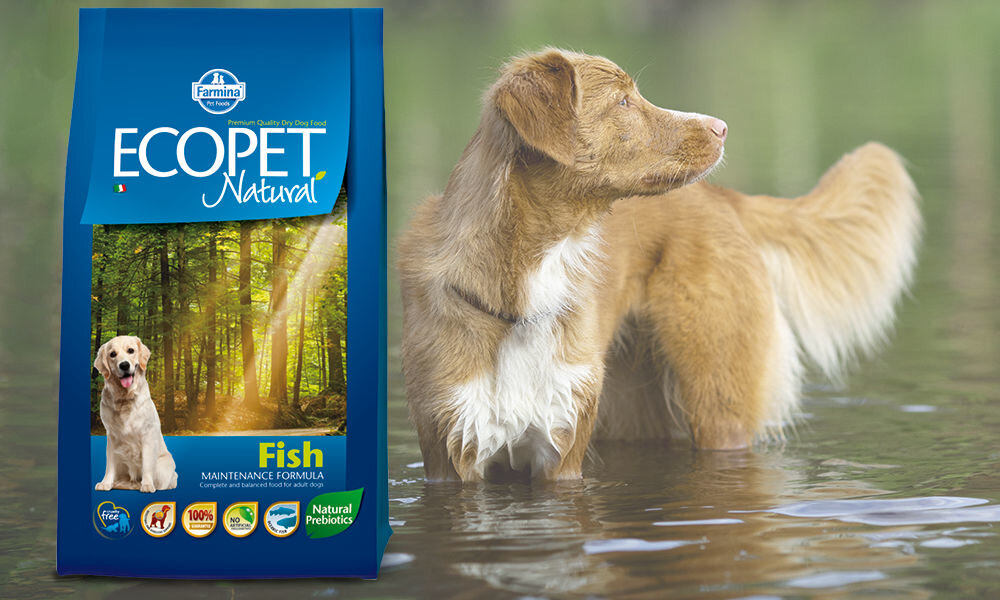 Karma dla psa FARMINA Ecopet Natural Adult Ryba 2,5 kg dawkowanie analiza sklad