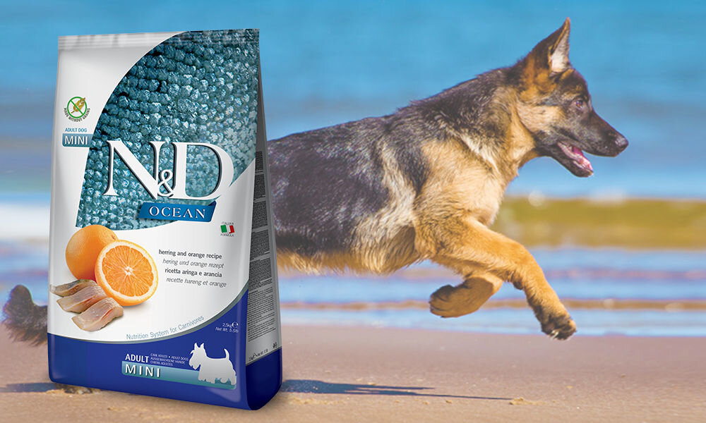 Karma dla psa Karma dla psa FARMINA N&D Ocean Śledź i pomarańcza Adult Mini 800 g dawkowanie analiza sklad
