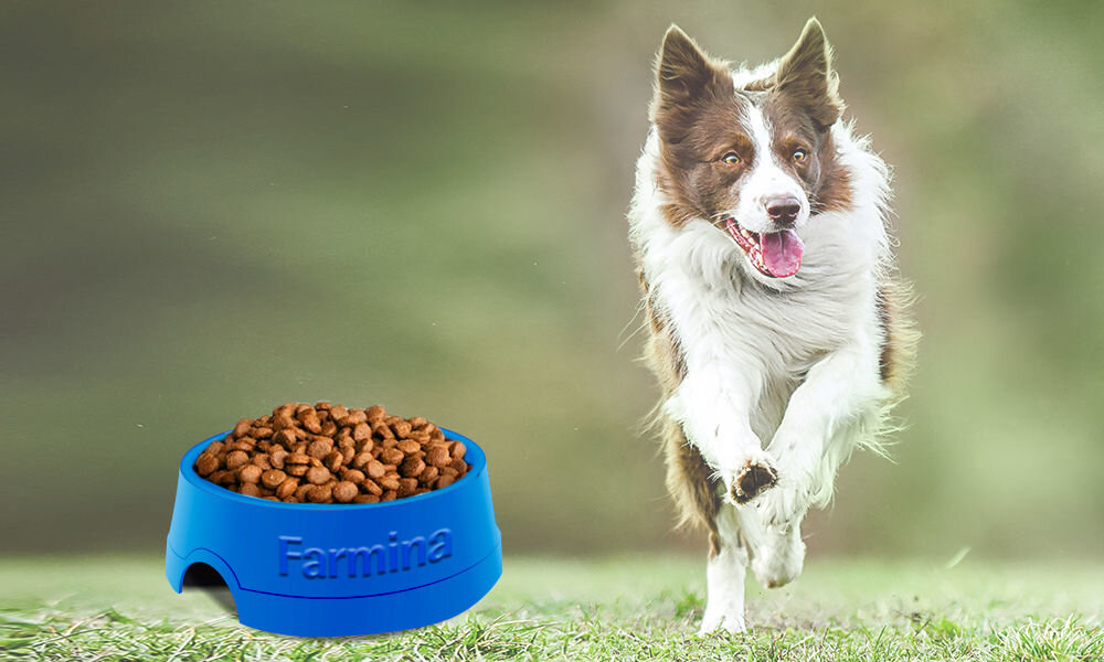 Karma dla psa FARMINA Fun Dog Mix 20 kg naturalne składniki wielkość krokietów