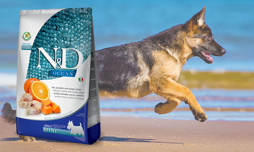 Karma dla psa FARMINA N&D Ocean Adult Mini Dorsz z dynią i pomarańczą 800 g dawkowanie analiza sklad