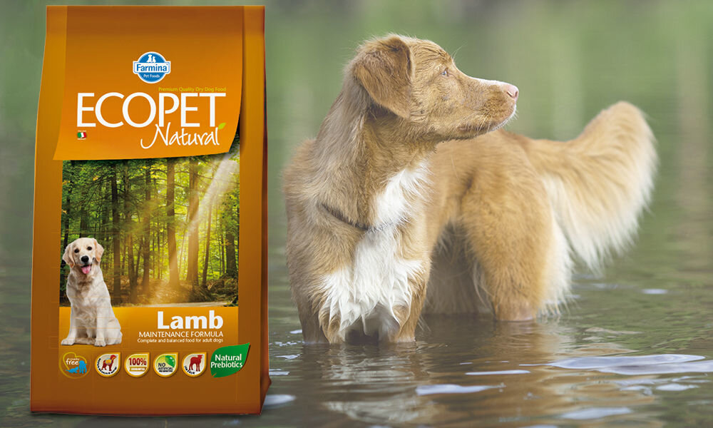 Karma dla psa FARMINA Ecopet Natural Adult Jagnięcina 12 kg dawkowanie analiza sklad