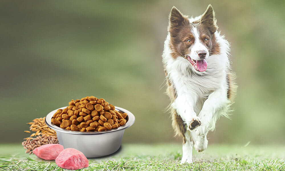 Karma dla psa FARMINA N&D Ancestral Kurczak i Granat Adult Light Mini 800 g naturalne składniki wielkość krokietów