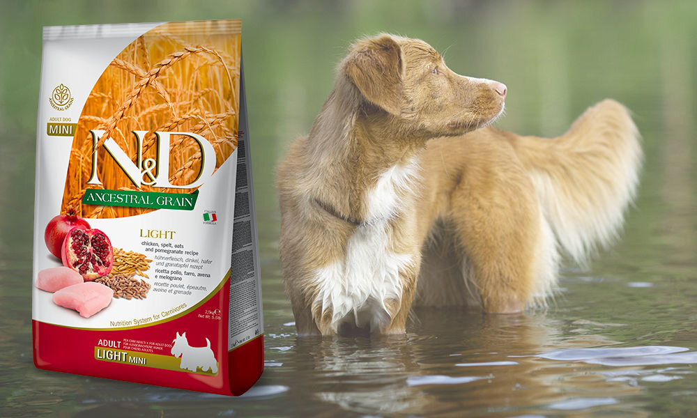 Karma dla psa FARMINA N&D Ancestral Kurczak i Granat Adult Light Mini 800 g dawkowanie analiza sklad