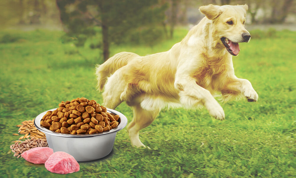 Karma dla psa FARMINA N&D Ancestral Kurczak i Granat Adult Light Mini 800 g witaminy pierwiastki aminokwasy