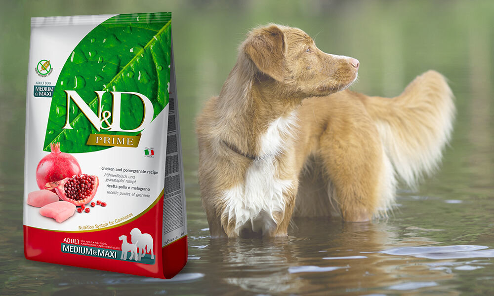 Karma dla psa FARMINA N&D Prime Kurczak i owoc granatu Adult Medium & Maxi 2,5 kg dawkowanie analiza sklad