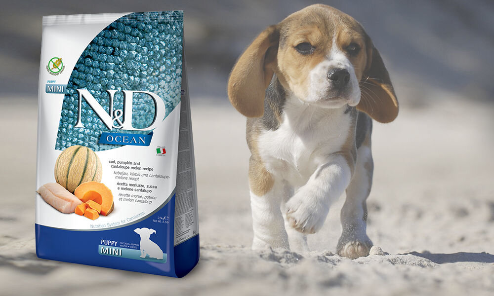 Karma dla psa Karma dla psa FARMINA N&D Ocean Puppy Mini Dorsz z dynią i melonem 7 kg dawkowanie analiza sklad