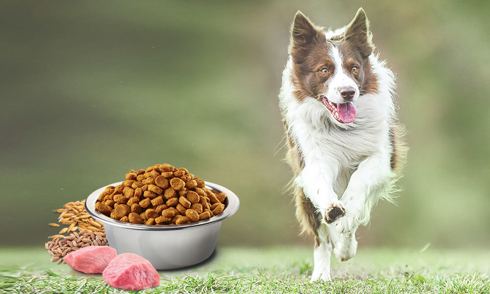 Karma dla psa FARMINA N&D Ancestral Grain Jagnięcina z borówką Puppy Medium&Maxi 7 kg naturalne składniki wielkość krokietów