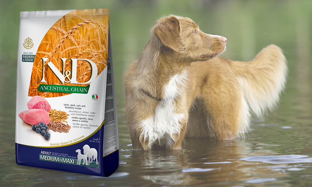 Karma dla psa FARMINA N&D Ancestral Grain Jagnięcina z borówką Puppy Medium&Maxi 7 kg dawkowanie analiza sklad